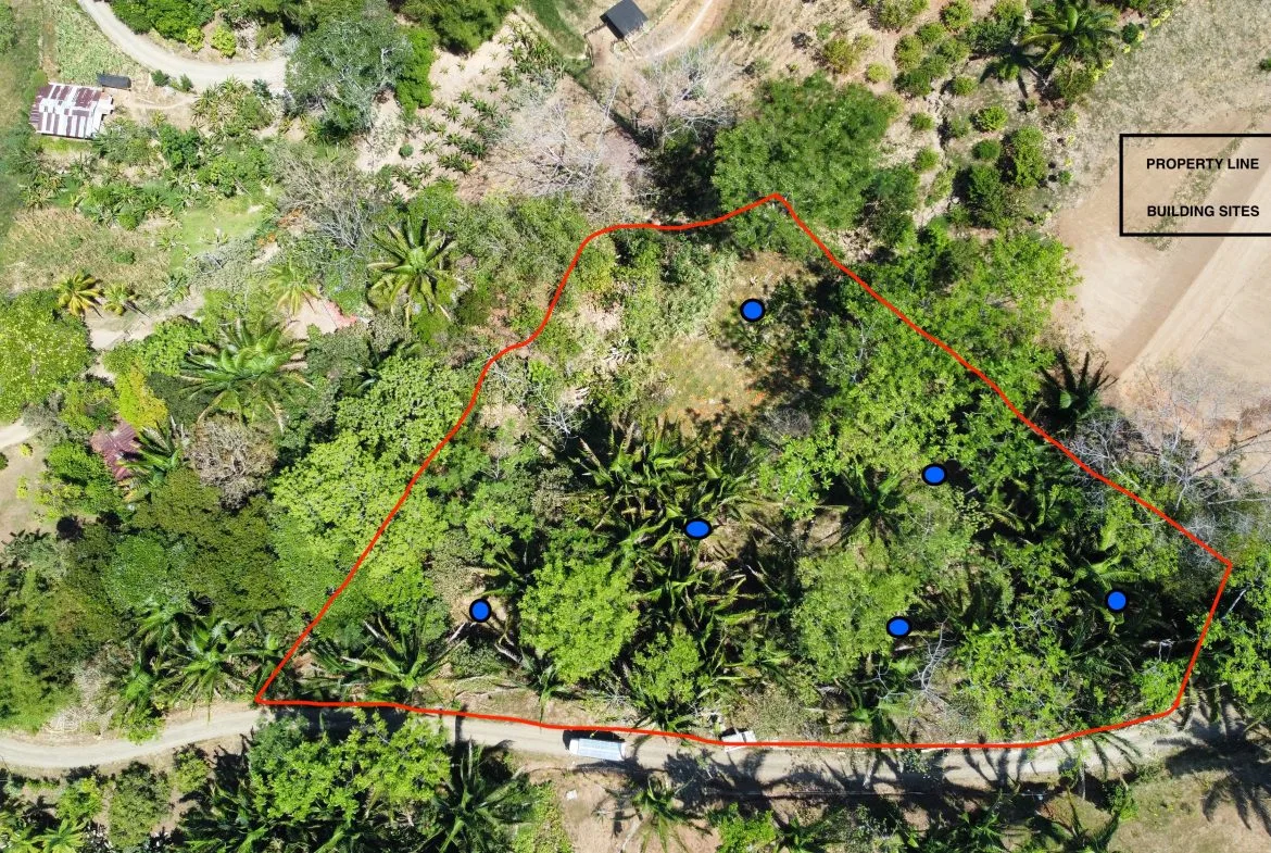 GREAT LOCATION LAND PARCEL IN PLAYA HERMOSA – 1.67 ACRES, photo 2
