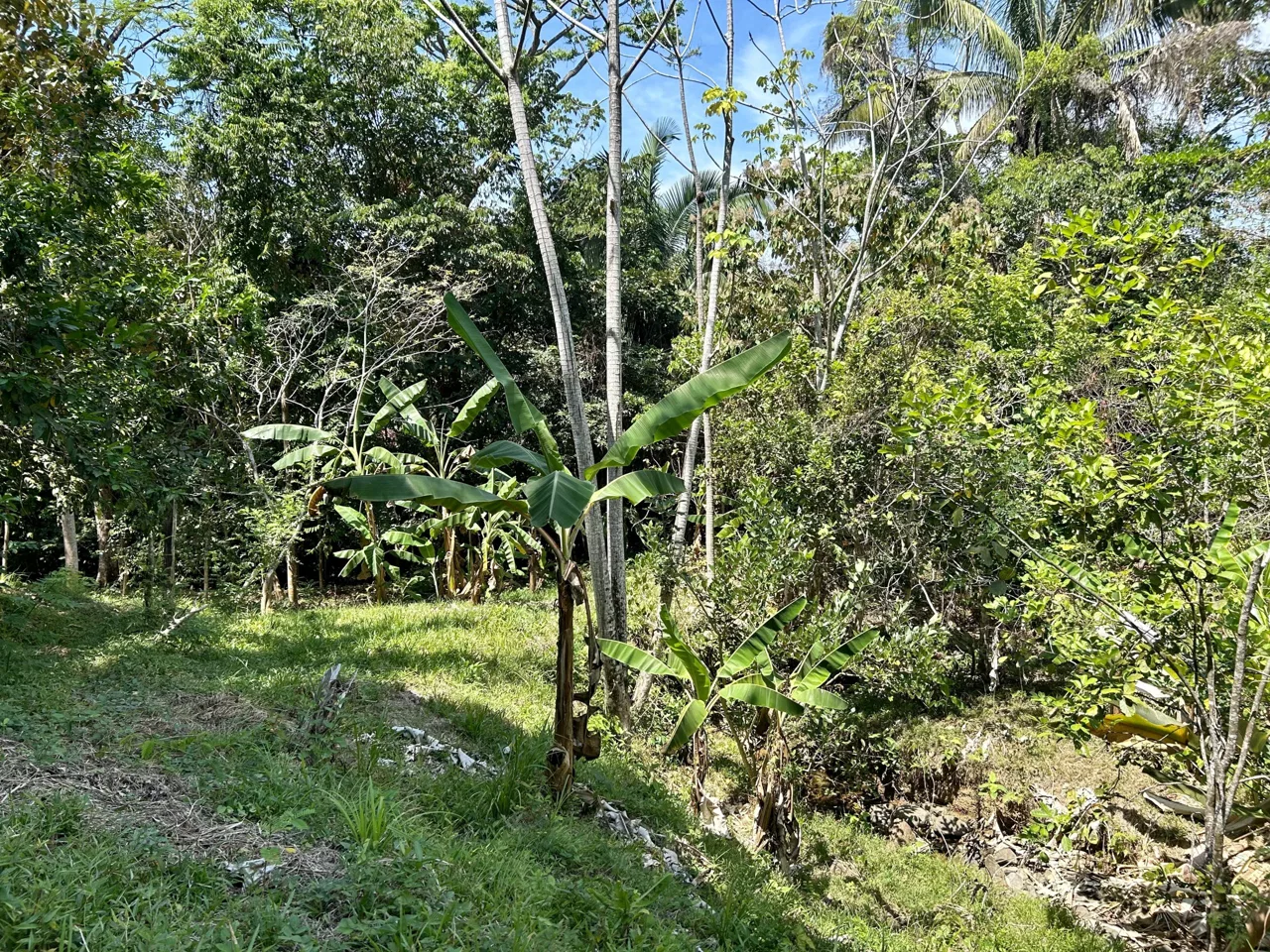 GREAT LOCATION LAND PARCEL IN PLAYA HERMOSA – 1.67 ACRES, photo 11