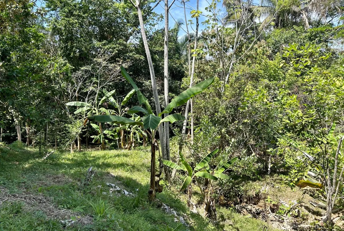 GREAT LOCATION LAND PARCEL IN PLAYA HERMOSA – 1.67 ACRES, photo 12