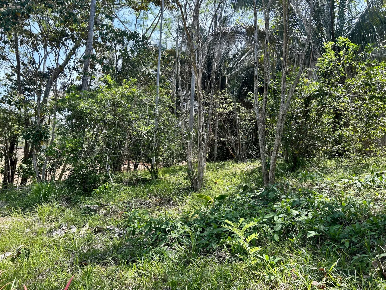 GREAT LOCATION LAND PARCEL IN PLAYA HERMOSA – 1.67 ACRES, photo 13
