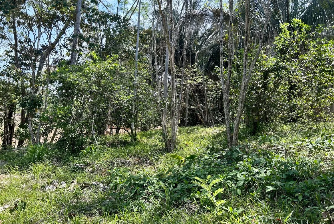 GREAT LOCATION LAND PARCEL IN PLAYA HERMOSA – 1.67 ACRES, photo 14