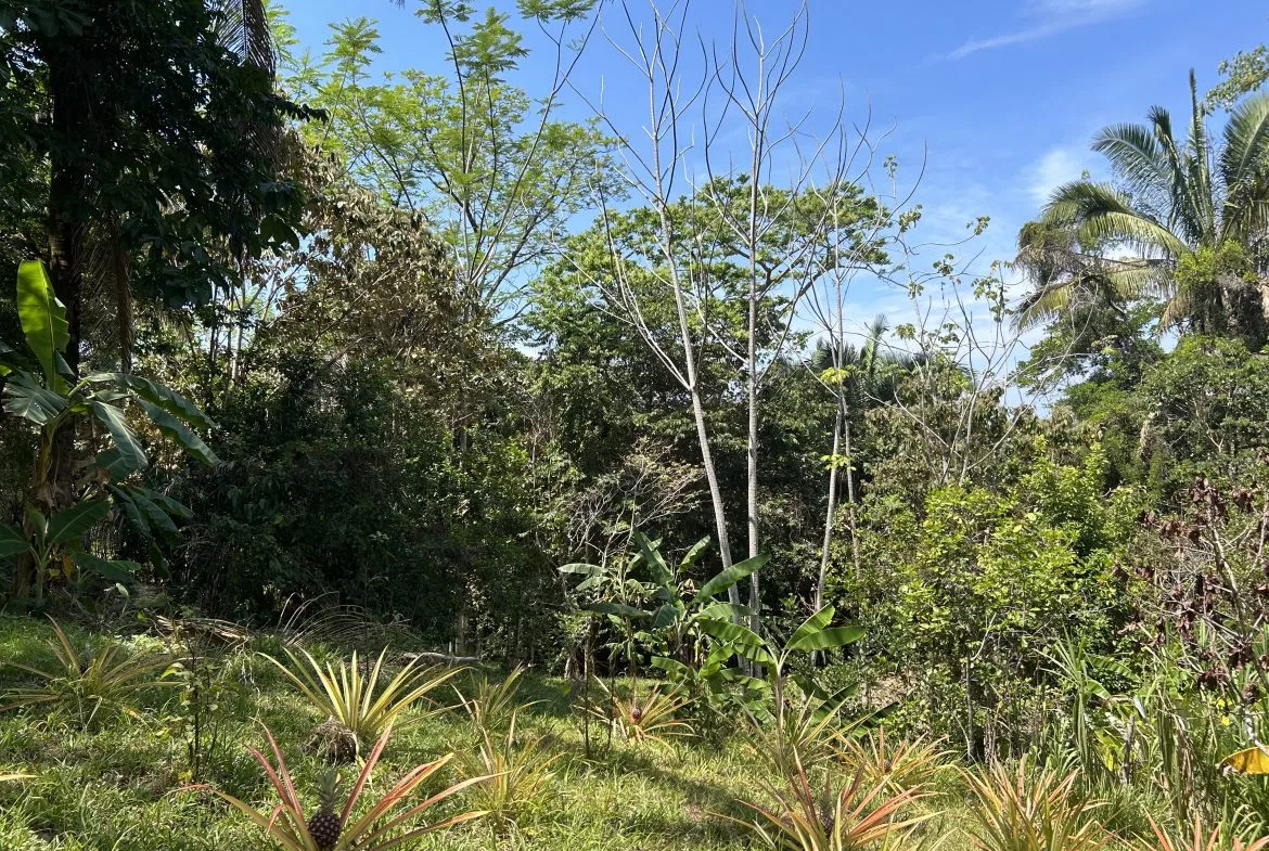 GREAT LOCATION LAND PARCEL IN PLAYA HERMOSA – 1.67 ACRES, photo 16