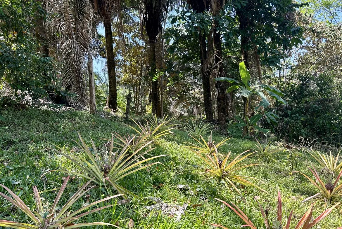 GREAT LOCATION LAND PARCEL IN PLAYA HERMOSA – 1.67 ACRES, photo 18