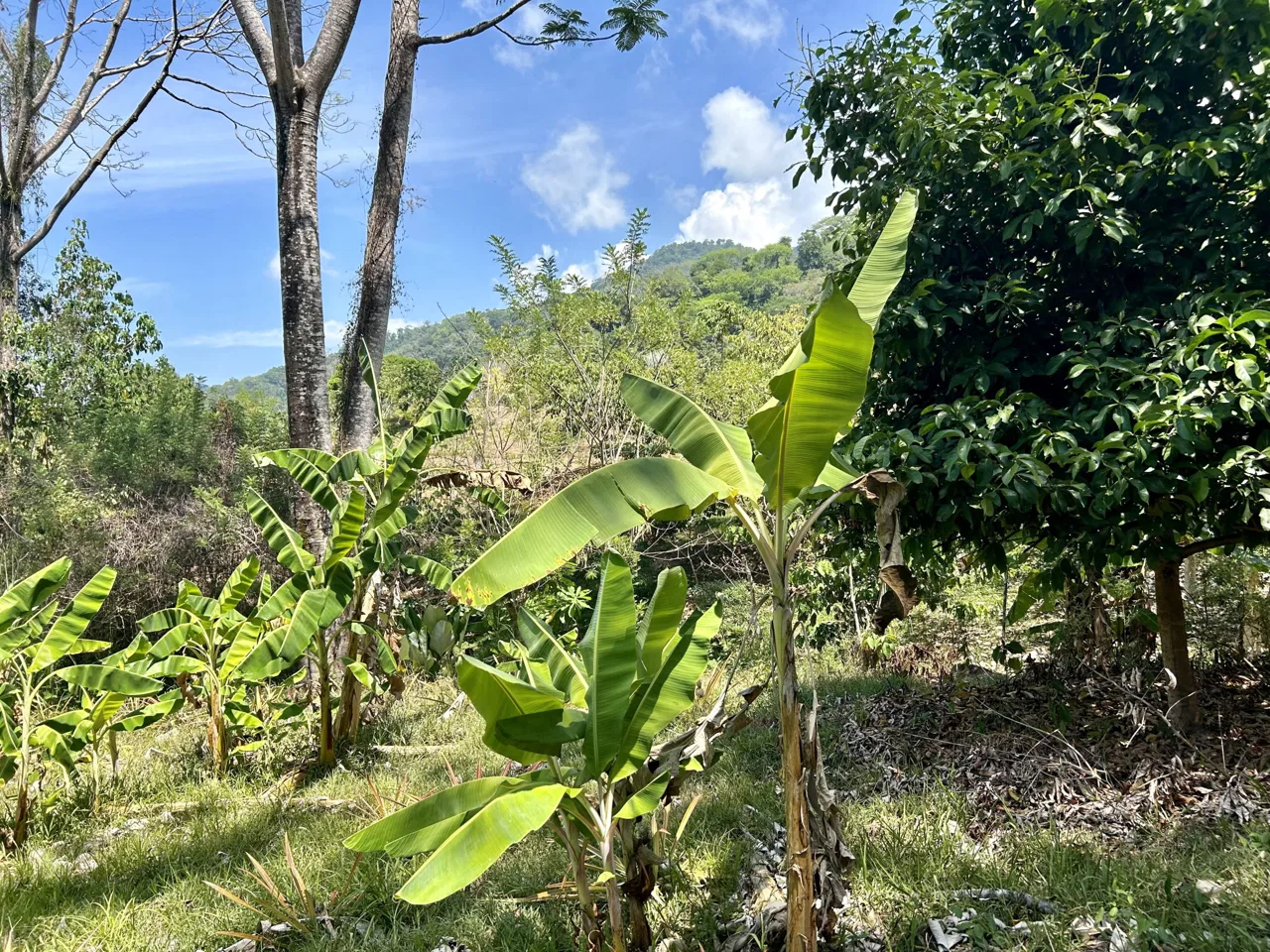 GREAT LOCATION LAND PARCEL IN PLAYA HERMOSA – 1.67 ACRES, photo 19