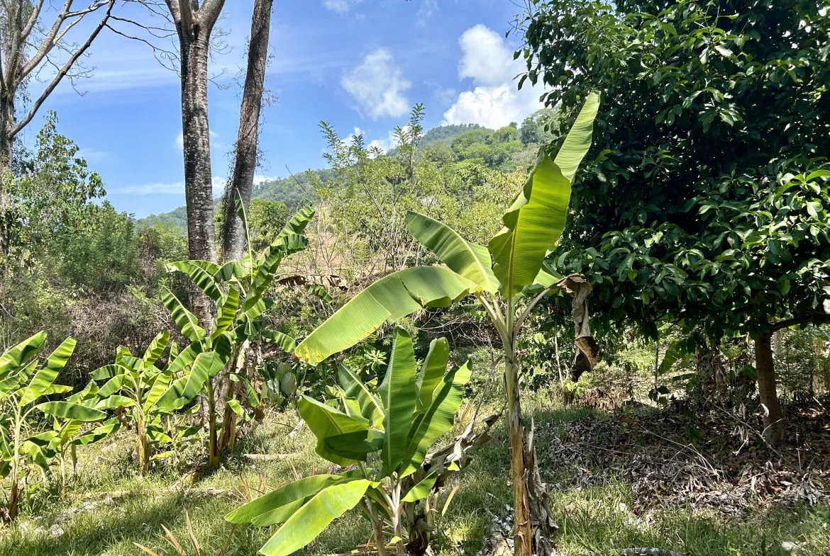 GREAT LOCATION LAND PARCEL IN PLAYA HERMOSA – 1.67 ACRES, photo 20
