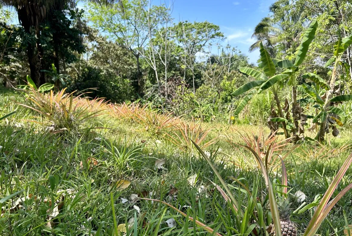 GREAT LOCATION LAND PARCEL IN PLAYA HERMOSA – 1.67 ACRES, photo 4