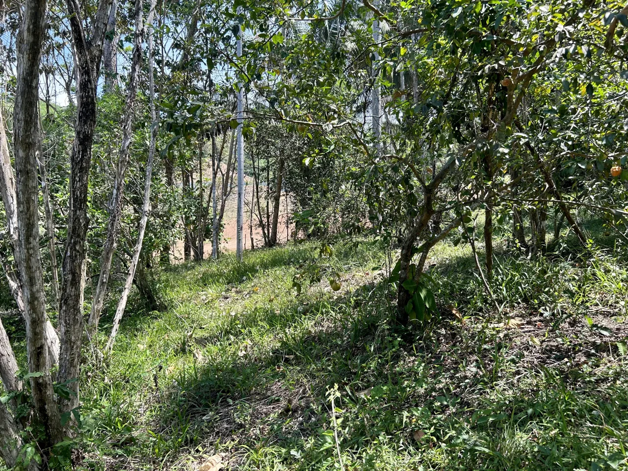 GREAT LOCATION LAND PARCEL IN PLAYA HERMOSA – 1.67 ACRES, photo 5