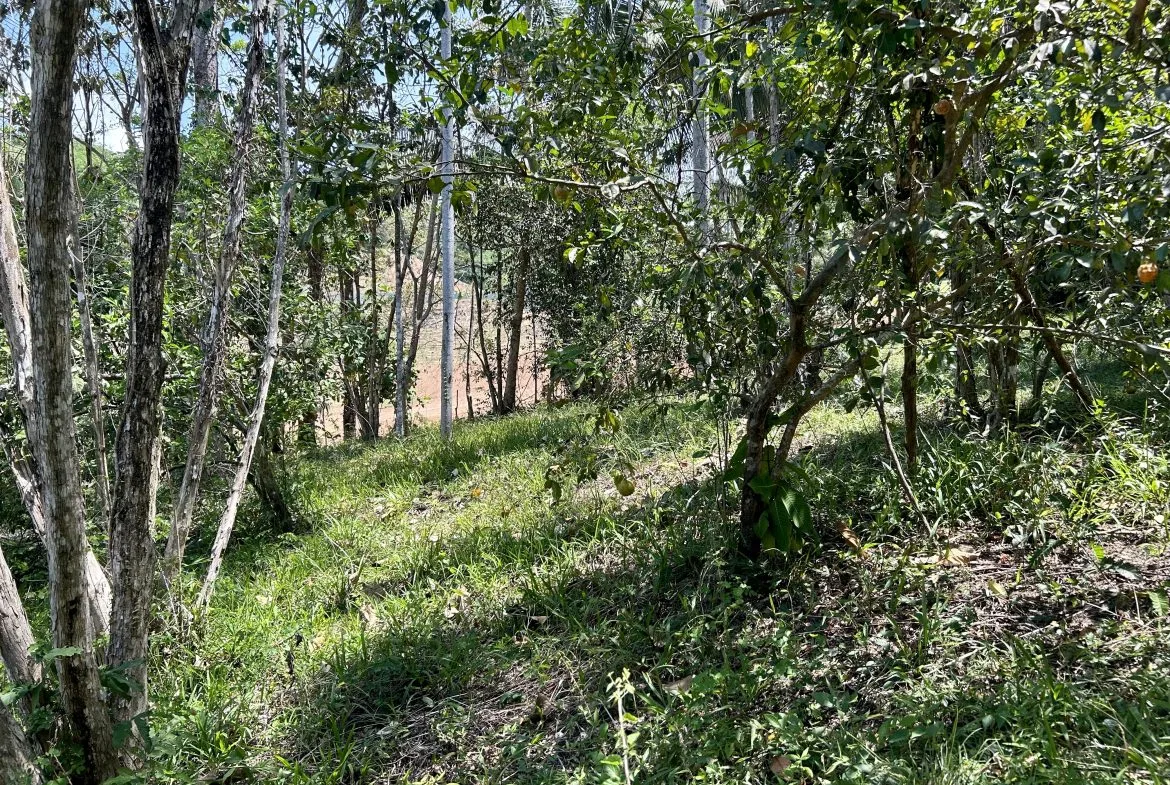 GREAT LOCATION LAND PARCEL IN PLAYA HERMOSA – 1.67 ACRES, photo 6