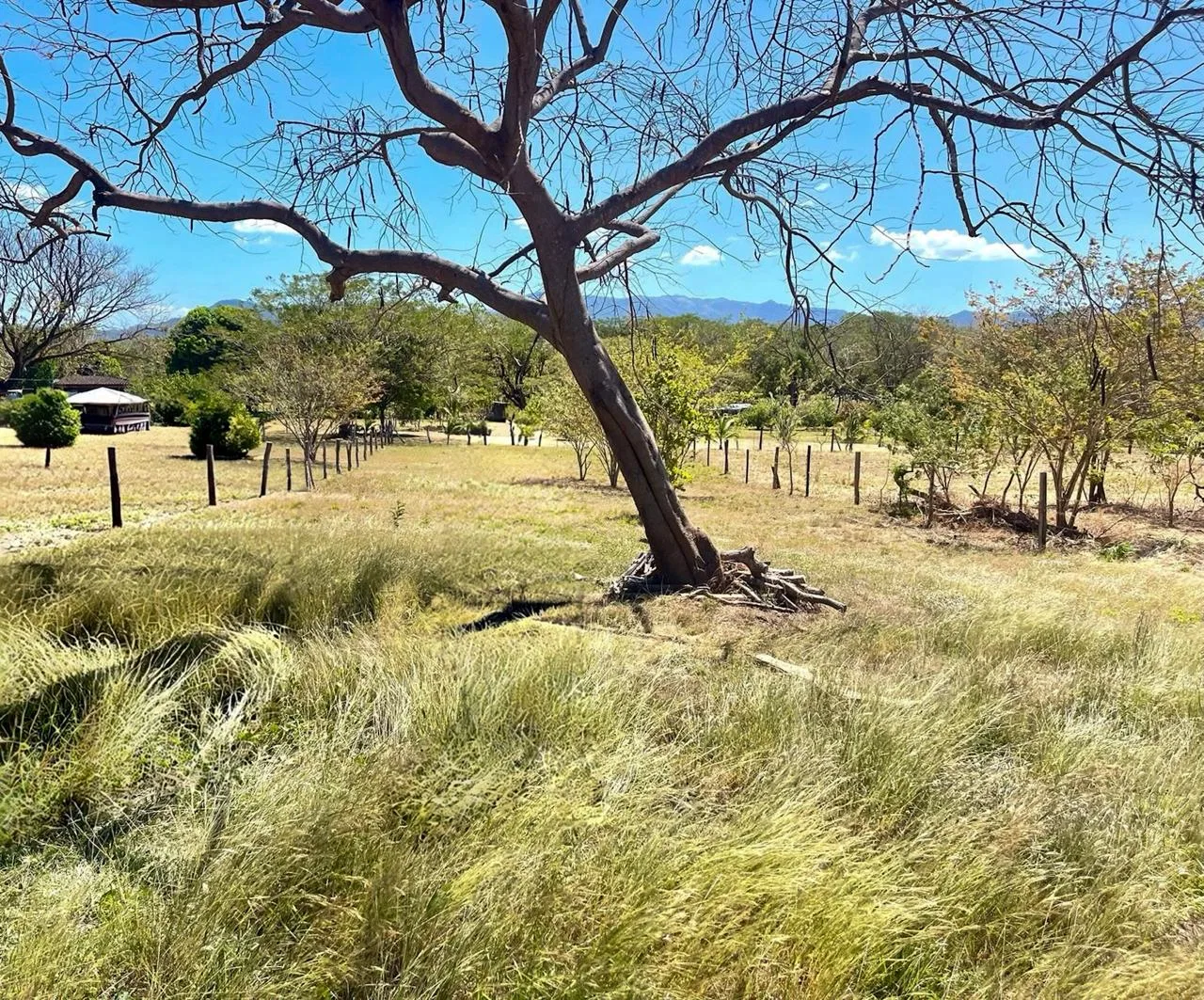 ¡Oportunidad Única de Inversión en Guanacaste! SE VENDE Terreno Listo para Construir en Santa Cruz