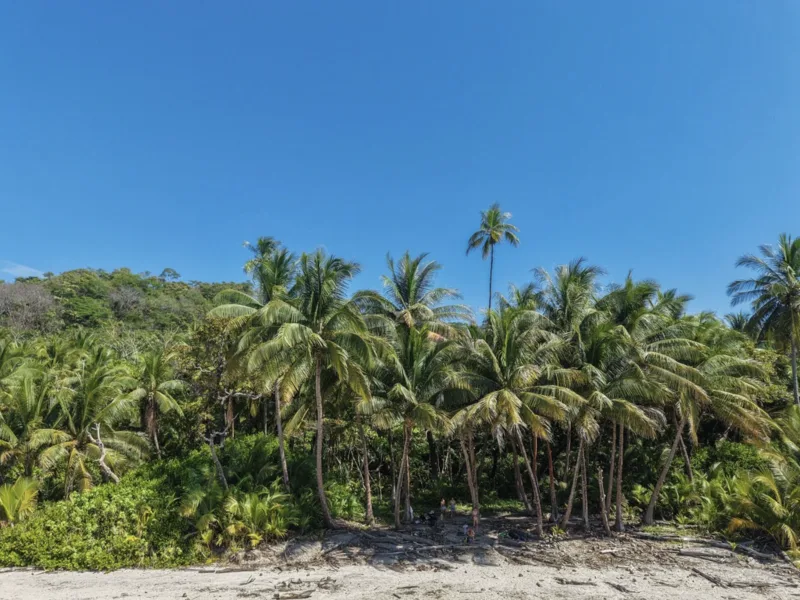 Land For Sale in Playa Hermosa Santa Teresa, photo 5