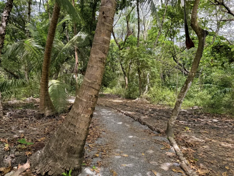 Land For Sale in Playa Hermosa Santa Teresa, photo 6