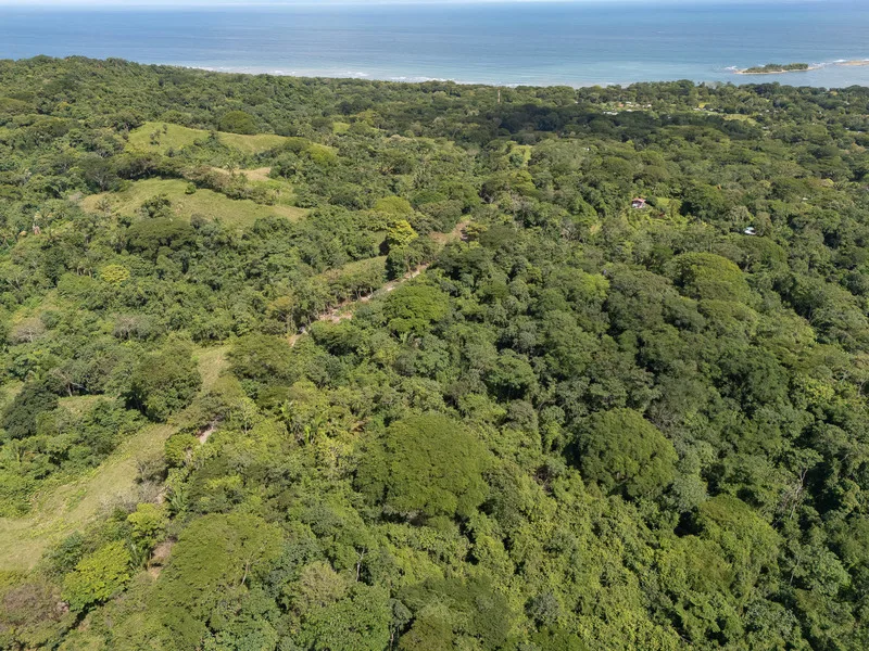 Land For Sale in Cabuya