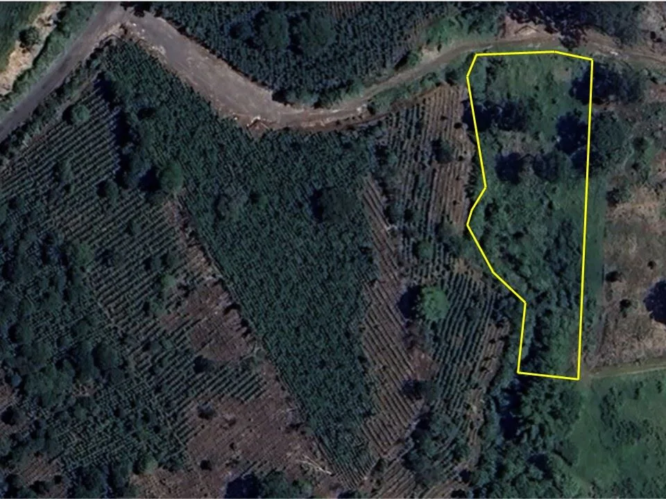 Lot for Sale in Private Development in San Rafael, Heredia - 36,275 ft² (0.83 acres) | Tranquility, Nature and Convenience, photo 2