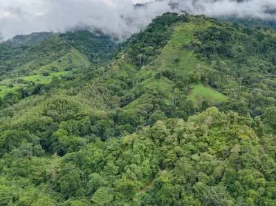 Ocean view property with multiple plantels, unspoiled mountain, jungle, river and waterfall areas., photo 2