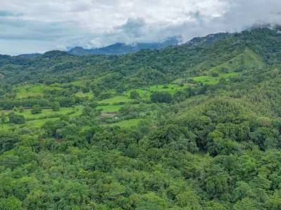 Ocean view property with multiple plantels, unspoiled mountain, jungle, river and waterfall areas., photo 3