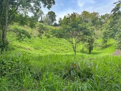 Ocean view property with multiple plantels, unspoiled mountain, jungle, river and waterfall areas., photo 4