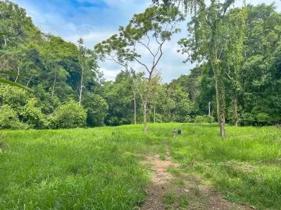 Ocean view property with multiple plantels, unspoiled mountain, jungle, river and waterfall areas., photo 5