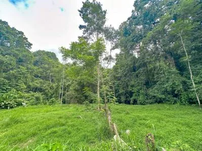 Ocean view property with multiple plantels, unspoiled mountain, jungle, river and waterfall areas., photo 6