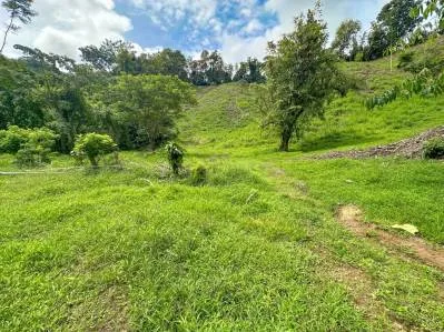 Ocean view property with multiple plantels, unspoiled mountain, jungle, river and waterfall areas., photo 7
