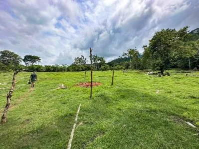 Ocean view property with multiple plantels, unspoiled mountain, jungle, river and waterfall areas., photo 8