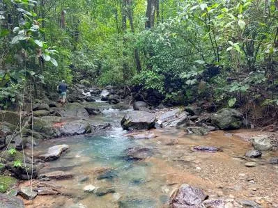 Ocean view property with multiple plantels, unspoiled mountain, jungle, river and waterfall areas., photo 10