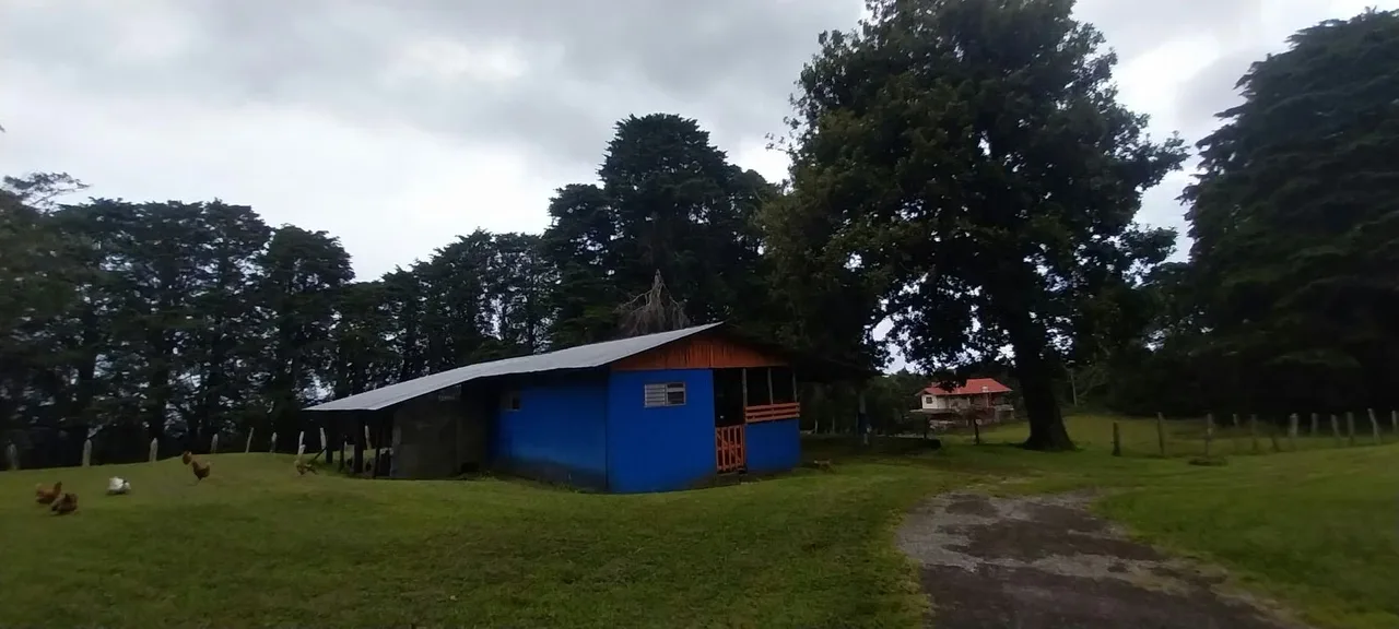 Excelente oportunidad para quienes buscan una propiedad amplia, con terreno mayormente plano y acceso por calle ..., photo 13