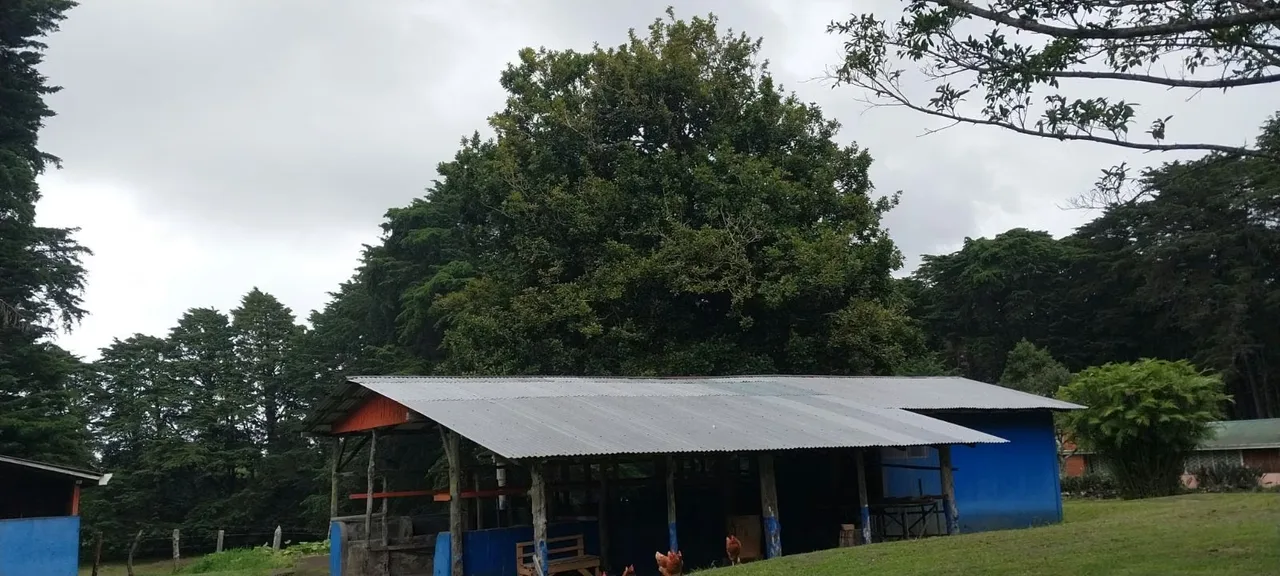 Excelente oportunidad para quienes buscan una propiedad amplia, con terreno mayormente plano y acceso por calle ..., photo 15
