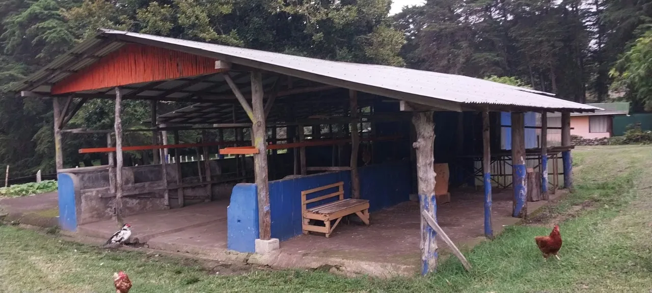 Excelente oportunidad para quienes buscan una propiedad amplia, con terreno mayormente plano y acceso por calle ..., photo 16