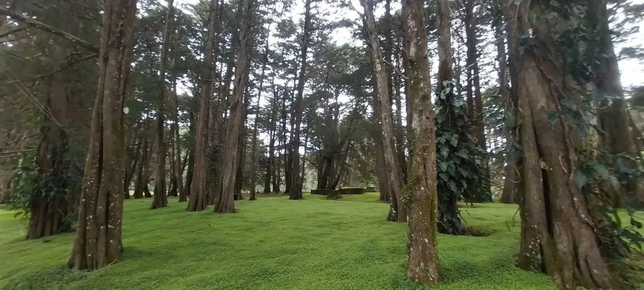 Excelente oportunidad para quienes buscan una propiedad amplia, con terreno mayormente plano y acceso por calle ..., photo 6