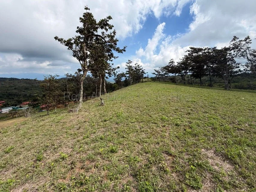 Venta de Lote en San Ramón-Zapotal, Alajuela. RAH 26-2180 - Venta en San Ramón, photo 13