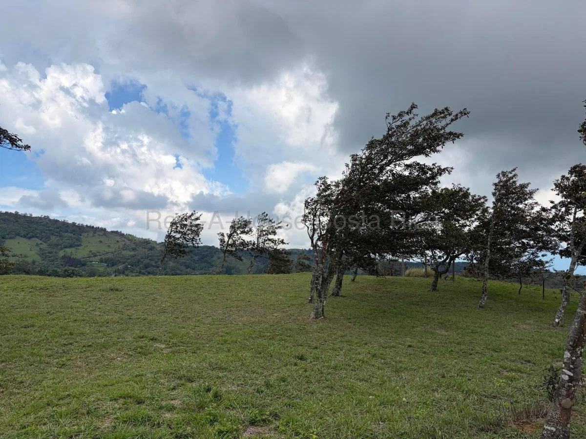 Venta de Lote en San Ramón-Zapotal, Alajuela. RAH 26-2180 - Venta en San Ramón, photo 17
