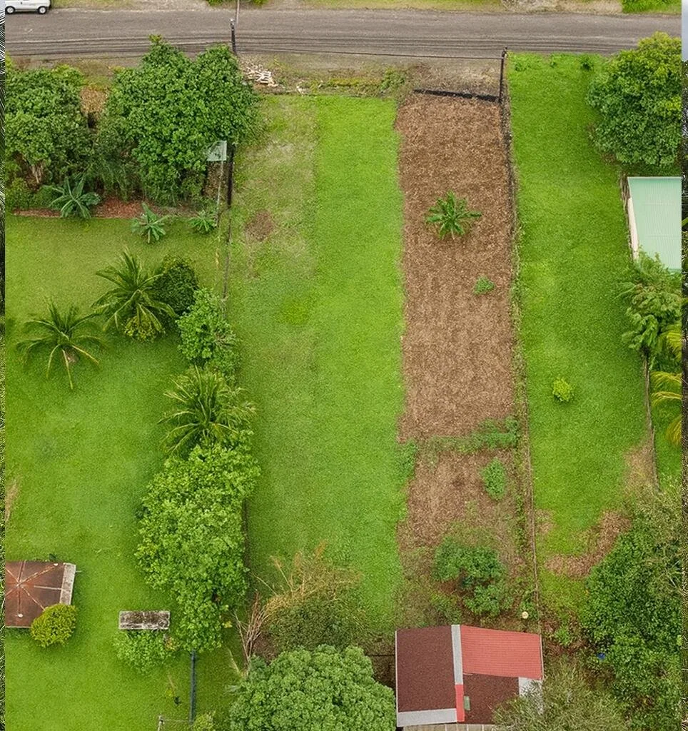 Venta de Lote en San Ramón-Zapotal, Alajuela. RAH 26-2180 - Venta en San Ramón, photo 18