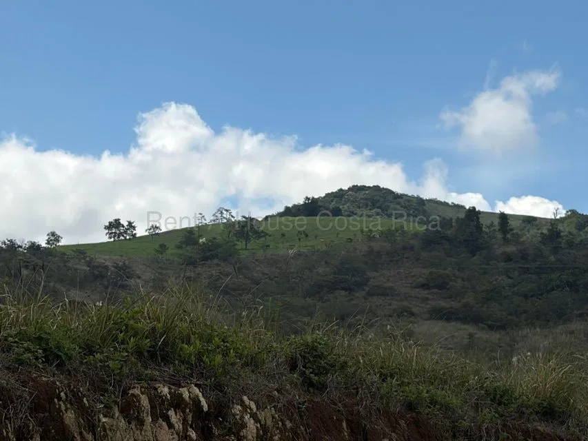 Venta de Lote en San Ramón-Zapotal, Alajuela. RAH 26-2180 - Venta en San Ramón, photo 3