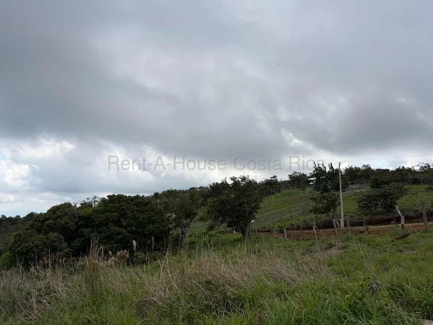 Venta de Lote en San Ramón-Zapotal, Alajuela. RAH 26-2180 - Venta en San Ramón, photo 5
