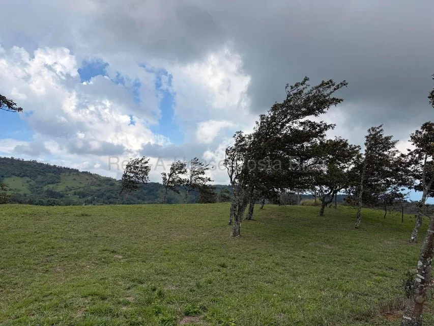 Venta de Lote en San Ramón-Zapotal, Alajuela. RAH 26-2180 - Venta en San Ramón, photo 7