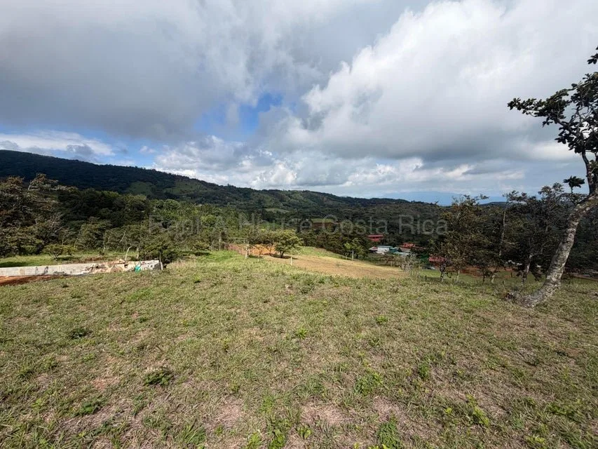 Venta de Lote en San Ramón-Zapotal, Alajuela. RAH 26-2180 - Venta en San Ramón, photo 8