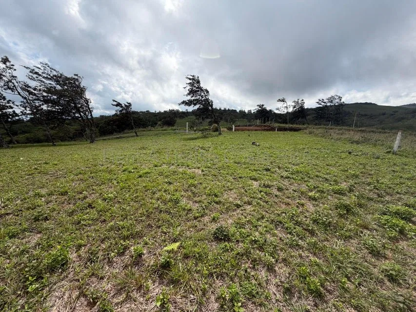 Venta de Lote en San Ramón-Zapotal, Alajuela. RAH 26-2180 - Venta en San Ramón, photo 9