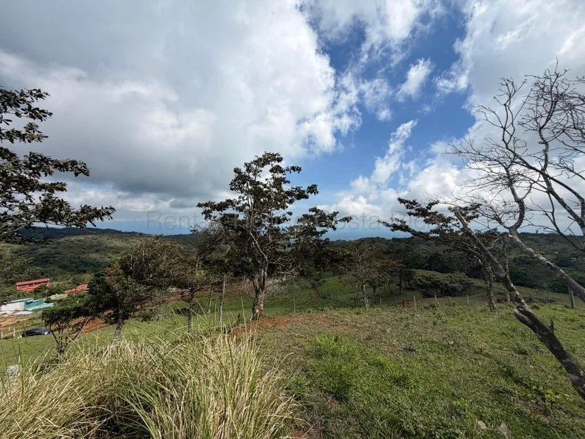 Venta de Lote en San Ramón-Zapotal, Alajuela. RAH 26-2180 - Venta en San Ramón, photo 10