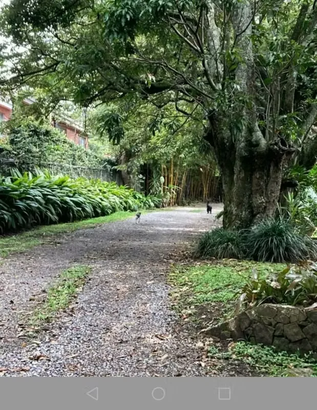 Furnished apartment for rent in Escazú