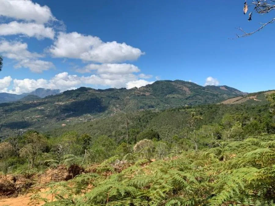 Venta de Lote en León Cortés, San José. - Venta en León Cortes