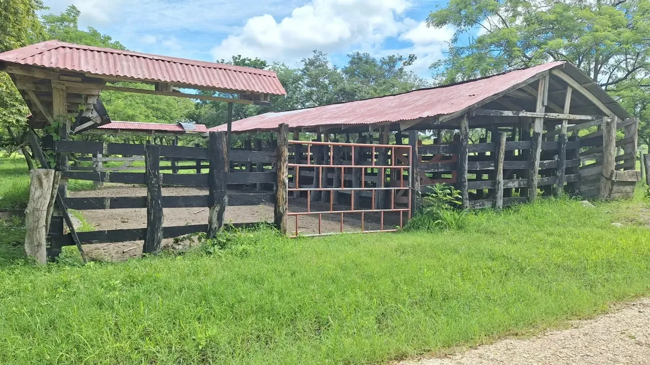For sale 17-hectare farm in Los Ángeles de Nicoya, located with direct access from a public road in a well-known agricultural and livestock area. The property is fully grass-covered, ...