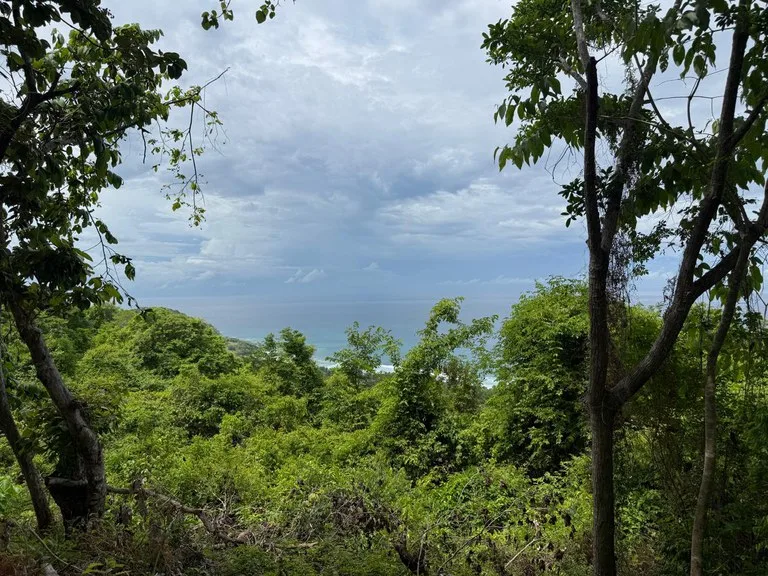 Property for Sale with Ocean and Mountain Views Corozalito Beach Guanacaste Costa Rica, photo 2