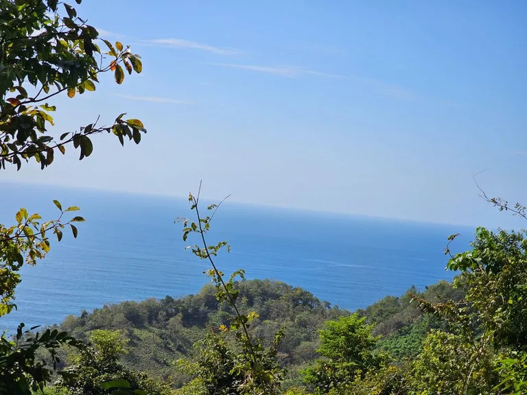 Property for Sale with Ocean and Mountain Views Corozalito Beach Guanacaste Costa Rica, photo 8