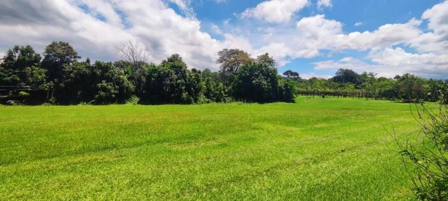 Venta de Propiedad para desarrollo comercial y habitacional en San Pedro Montes de Oca US$3,875,000  - Venta en Montes de Oca, photo 13