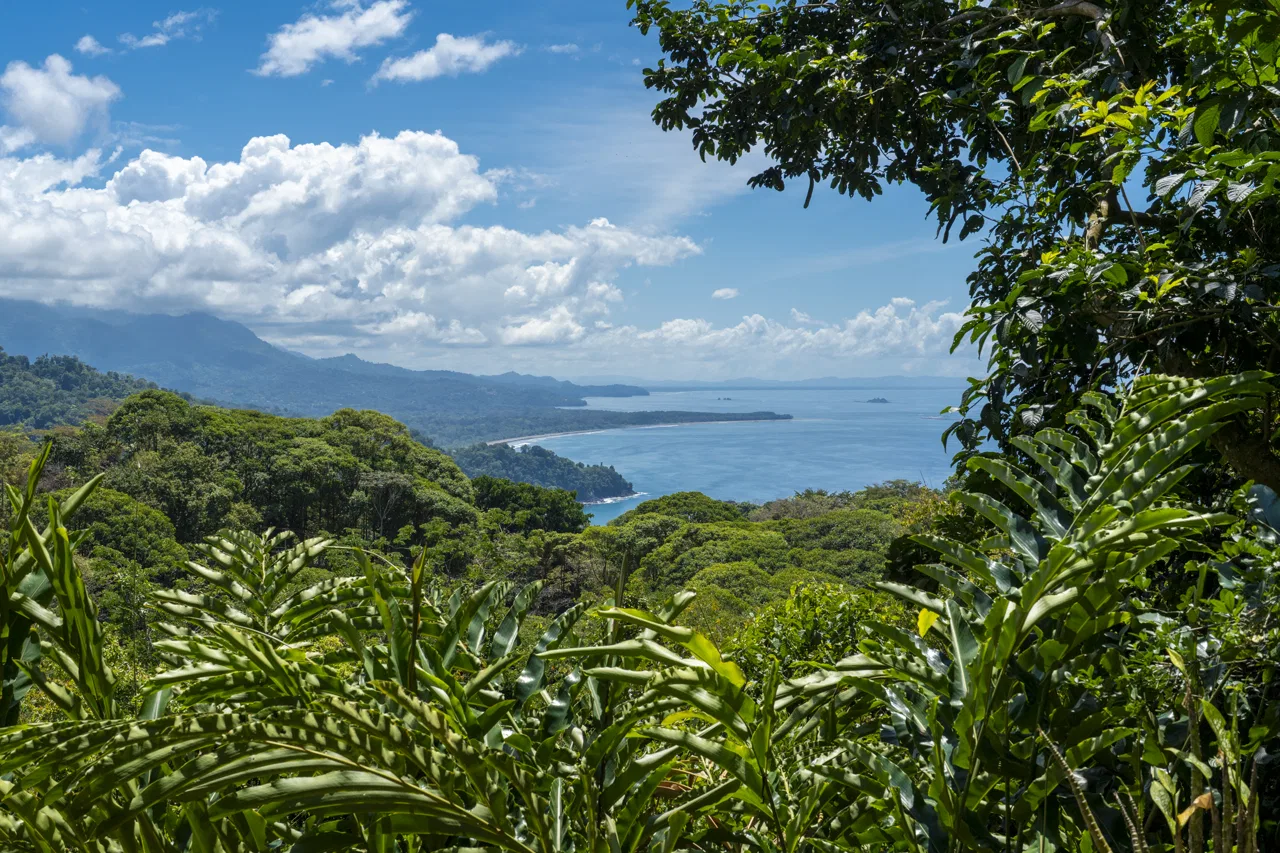 Own the tip of the ridge with spectacular views!, photo 3