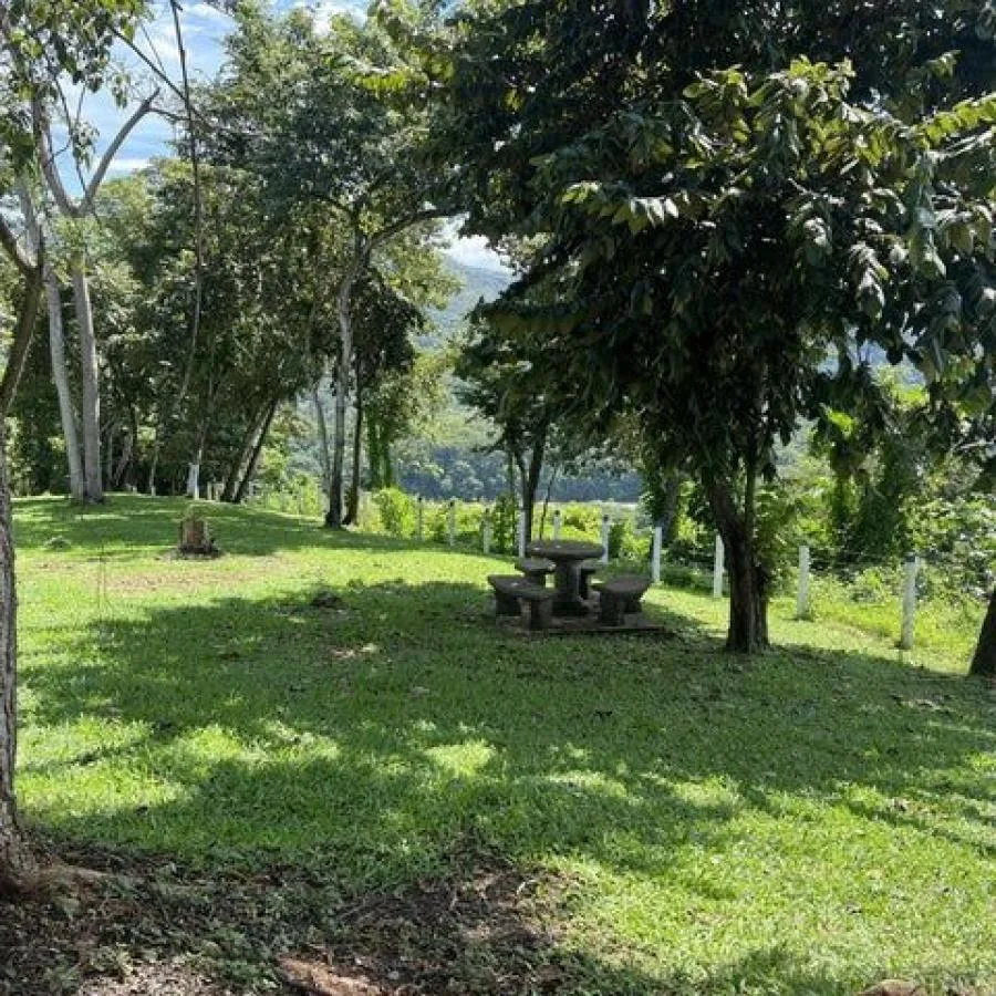 Venta de Lote en Cinco Esquinas-Tibâs, San José.  - Venta en Cinco Esquinas, photo 9