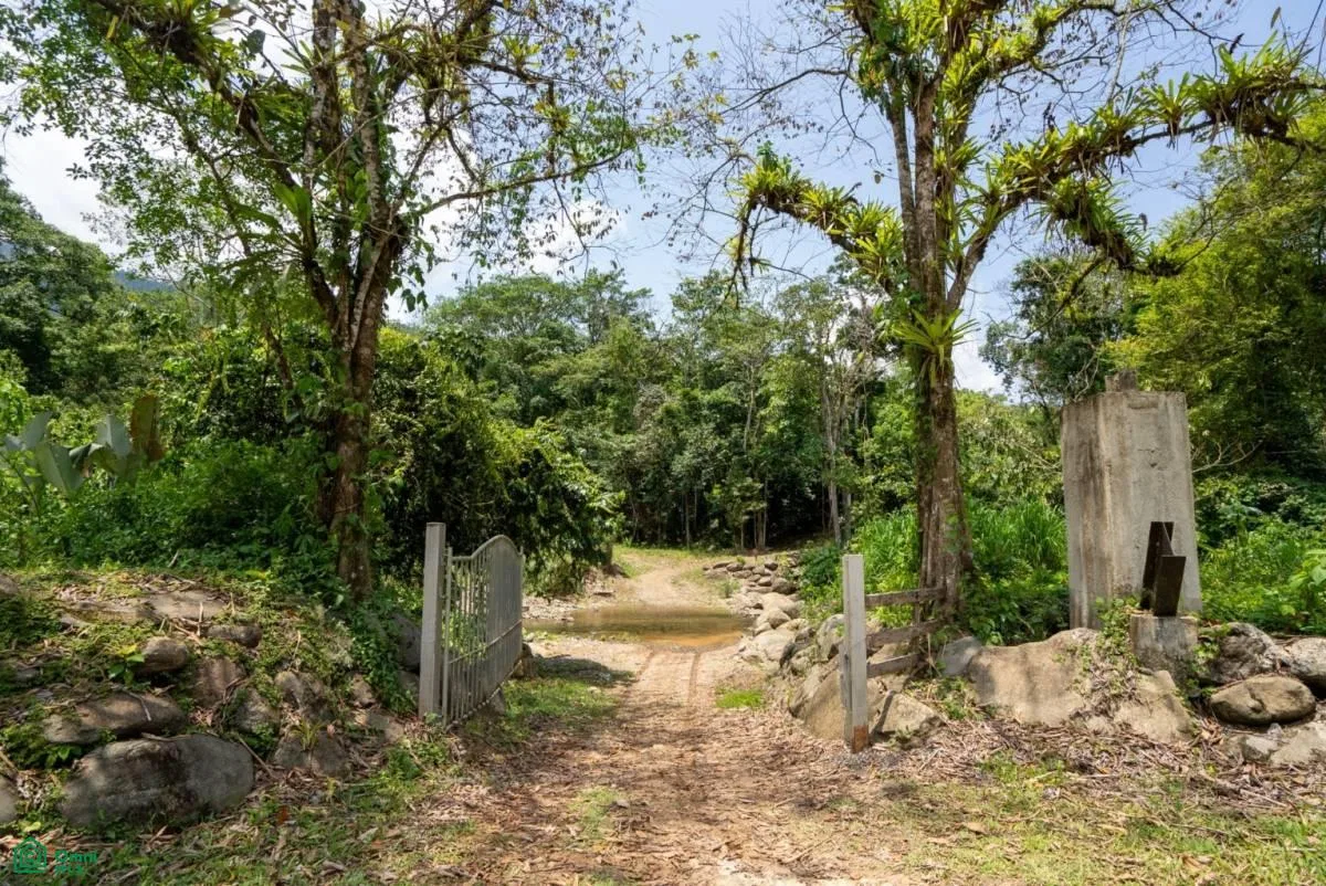 Finca Dos Bocas , Bahía Ballena, Osa, Puntarenas, photo 2