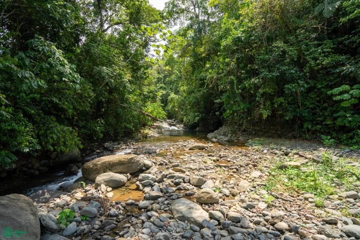 Finca Dos Bocas , Bahía Ballena, Osa, Puntarenas, photo 11