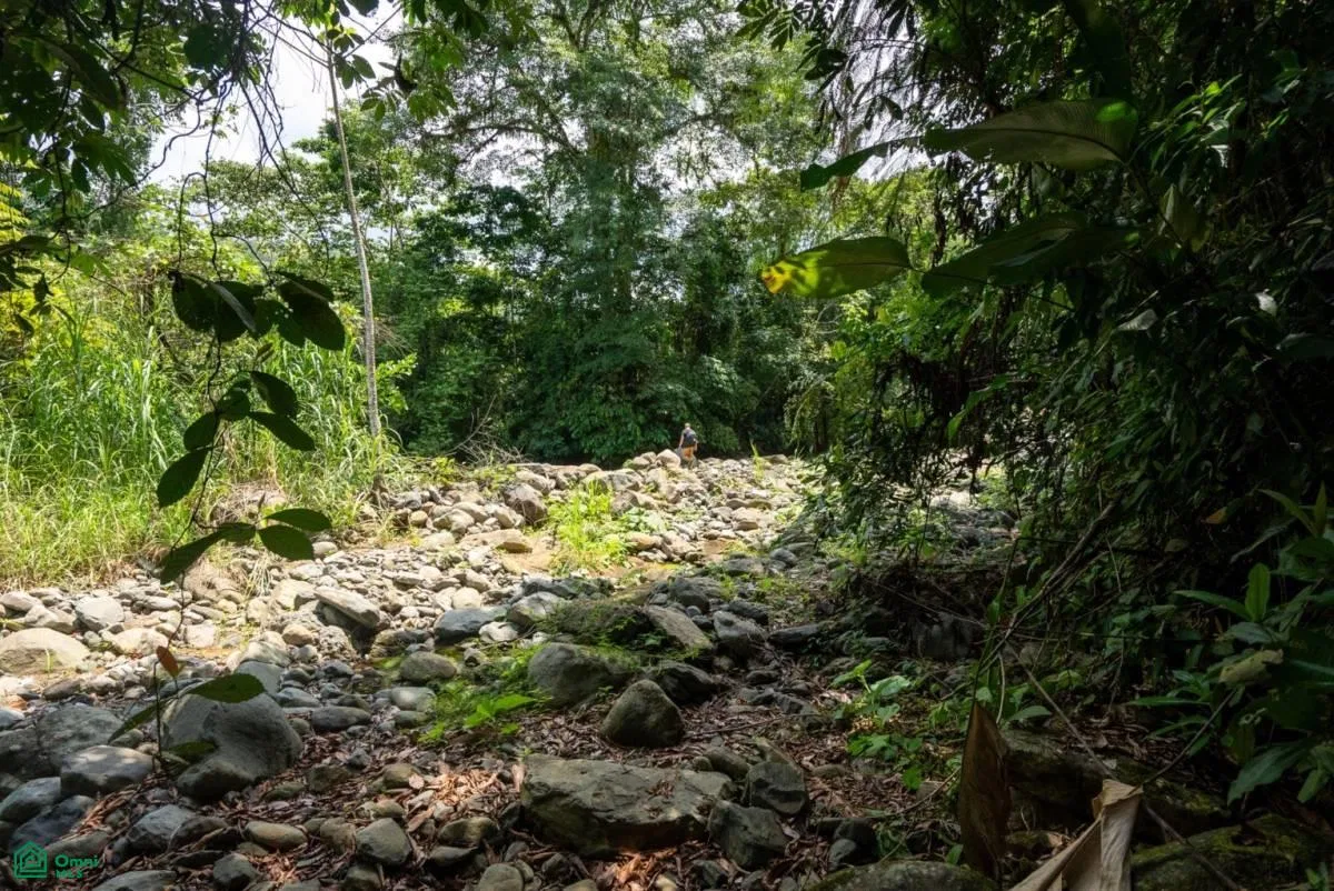 Finca Dos Bocas , Bahía Ballena, Osa, Puntarenas, photo 12