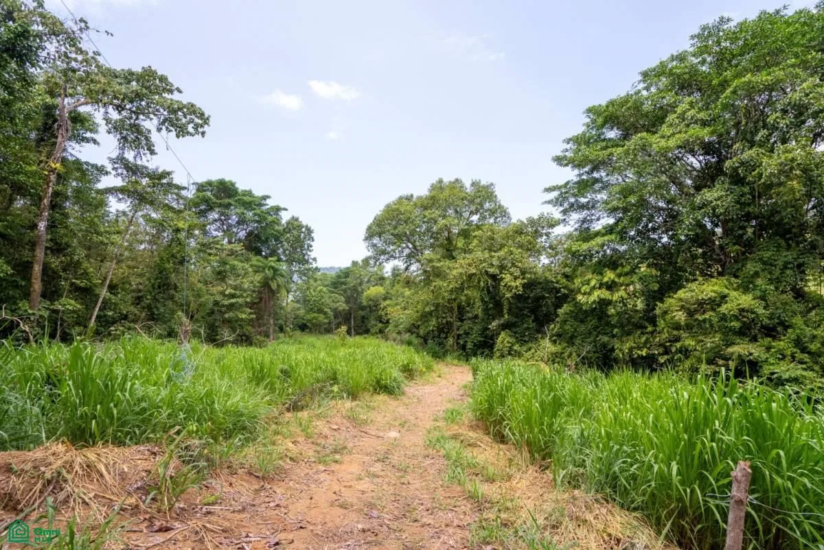 Finca Dos Bocas , Bahía Ballena, Osa, Puntarenas, photo 14